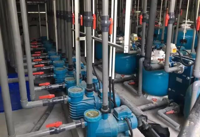 簡(jiǎn)述&nbsp;建造游泳池五大方面的設(shè)計(jì)要求